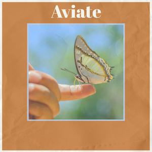 Aviate