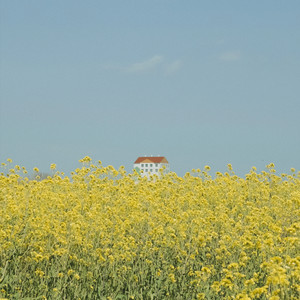 올립 - 행복은 가까이에 (Happiness Is Near) (幸福就在近处)