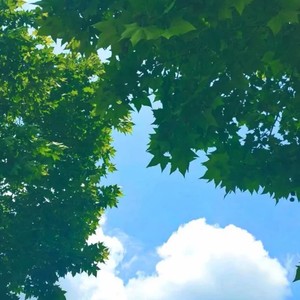 不要对我冷淡 (DJ版)