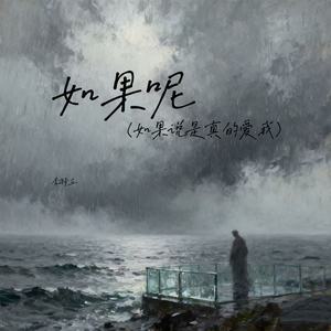 如果呢（如果说是真的爱我）