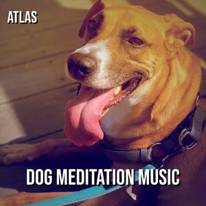 Dog Meditation Music