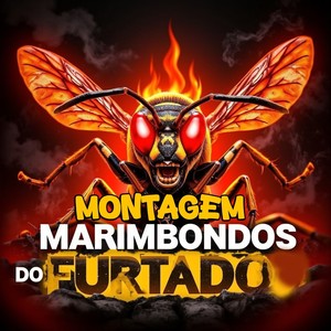 MONTAGEM MARIMBONDOS DO FURTADO
