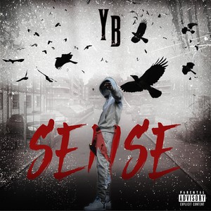 Sense (Explicit)