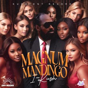 Magnum Mandingo/Day Riddim