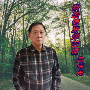 我的情深你若懂