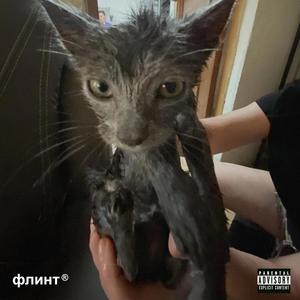 Jel Sapunjas Macora (Explicit)