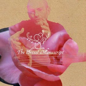 Paolo Pandolfo - Suite in D minor - Tempo di Menuet (D major)