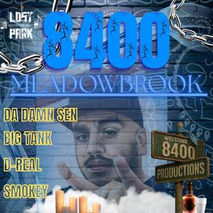 8400 MEADOWBROOK (Explicit)