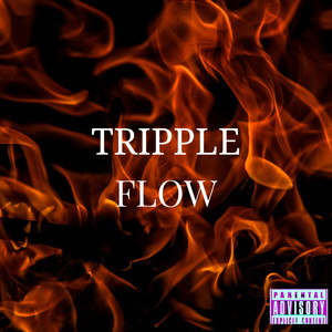 Tripple Flow (Explicit)