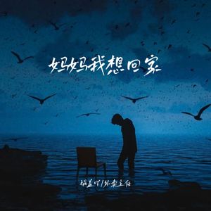 妈妈我想回家