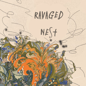 Ravaged Nest