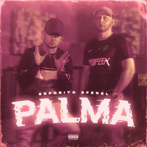 Palma (feat. Bubi Flex, Efenel & FNL ZONE) (Remix|Explicit)