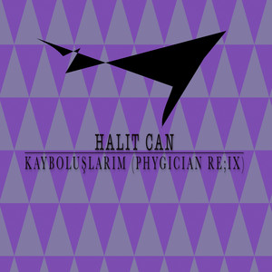Kayboluşlarım (phygician re|ix)