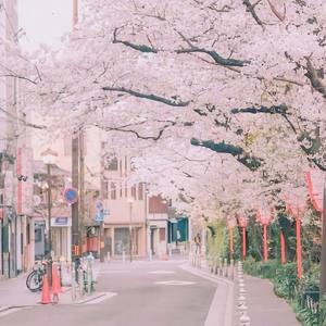 Butter-FIy.完整版 (COVER版)