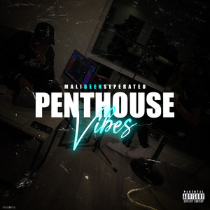 PENTHOUSE VIBEZ (Explicit)