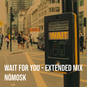 Wait for You (Extended Mix)