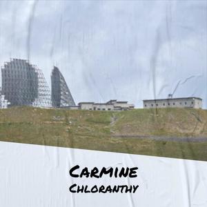 Carmine Chloranthy