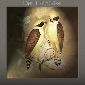 Der Lachfalke