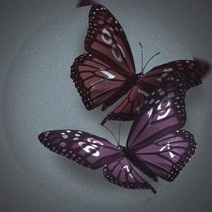 schulter (feat. KA$HTIRA) (Explicit)