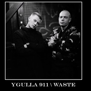 WASTE (feat. Faytas) [Explicit]