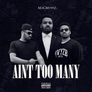 AINT TOO MANY (SINGLE) [Explicit]