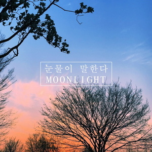 눈물이 말한다 (眼泪说)