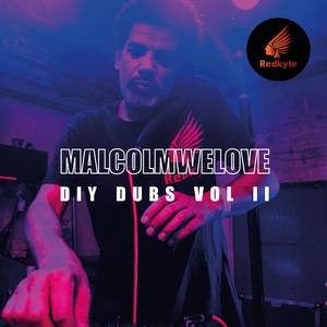 DIY Dubs Vol 2