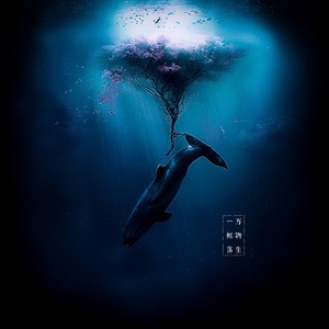 一鲸落万物生