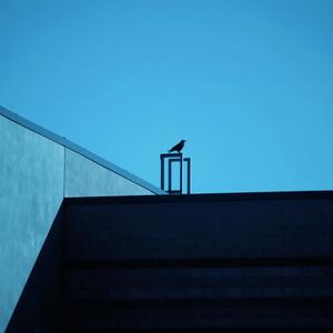 Sophomore (feat. P-Nice) (Explicit)