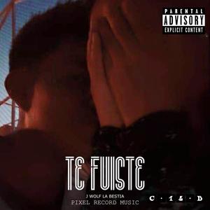 Te Fuiste (feat. Joey On The Beat)