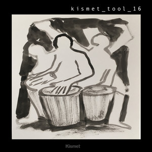 Kismet_tool_16