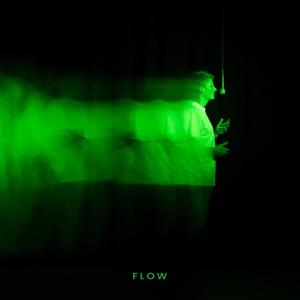 Flow (Explicit)