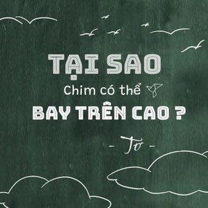 Tại sao chim có thể bay trên cao ?