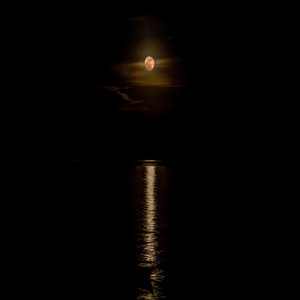 依兰爱情故事 (0.8x伤感版)