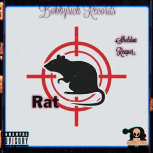 Rat (Explicit)