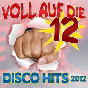 Voll auf die12 Disco Hits 2012