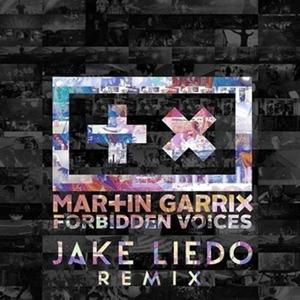 Forbidden Voices(Jake Liedo Remix)