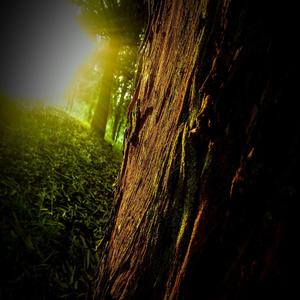 NIKO READY (feat. KENRAZY) (remix|Explicit)