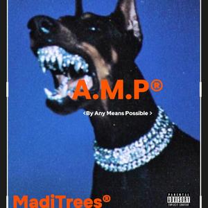 Affirmation (Explicit)