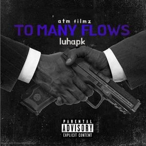 To Many Flows (Explicit)