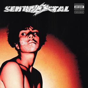 sentimental (Explicit)