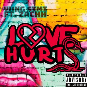 Love Hurts (feat. Zachh)