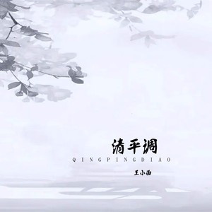 王小雨 - 清平调 (DJ版伴奏)