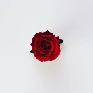 Rose (Explicit)