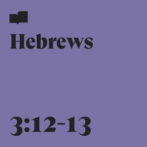 Hebrews 3:12-13(feat. Tyler Hayes & Leah Hayes)