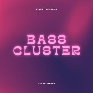 Bass Cluster