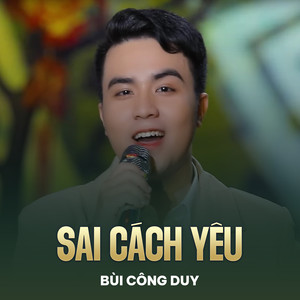 Sai Cách Yêu (Lofi)