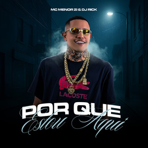 MC Menor ZL - Por Que Estou Aqui