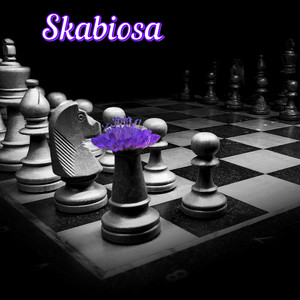 Skabiosa