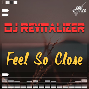 Feel So Close (Extended Mix)